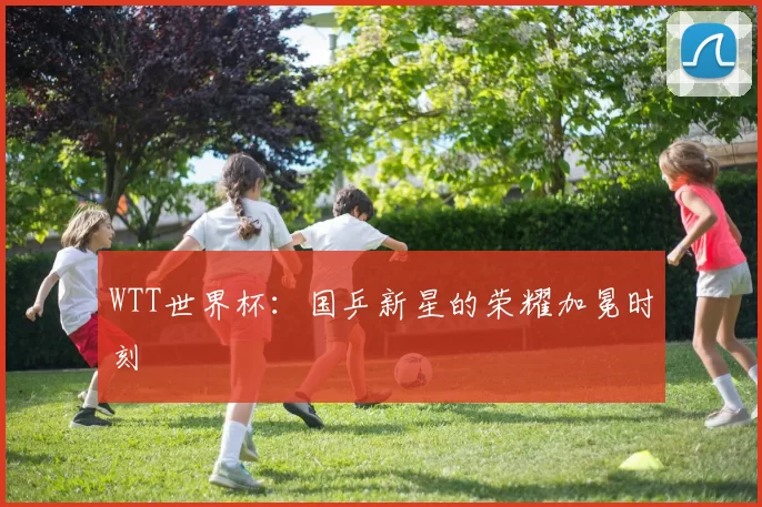 WTT世界杯:国乒新星的荣耀加冕时刻