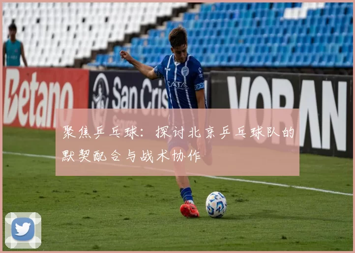 聚焦乒乓球：探讨北京乒乓球队的默契配合与战术协作