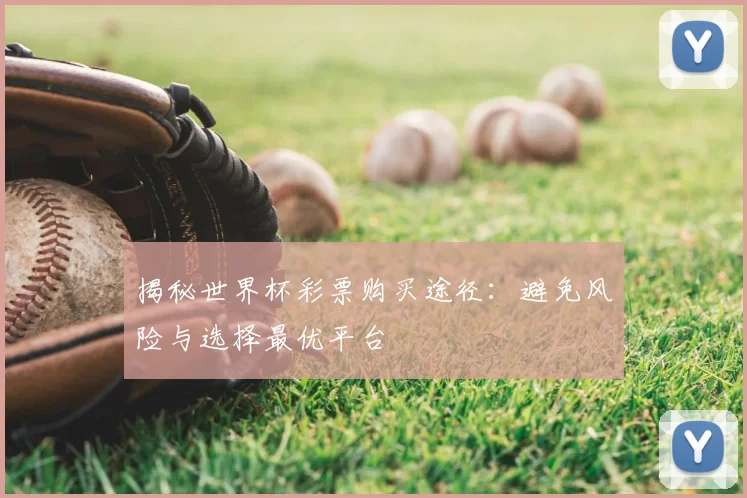 揭秘世界杯彩票购买途径：避免风险与选择最优平台