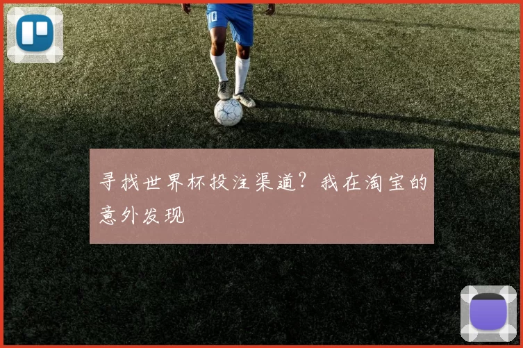 寻找世界杯投注渠道?我在淘宝的意外发现
