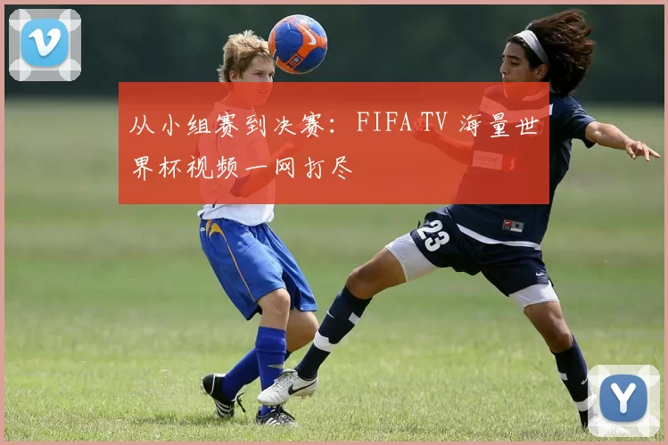从小组赛到决赛：FIFA TV 海量世界杯视频一网打尽