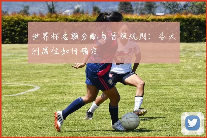 世界杯名额分配与晋级规则:各大洲席位如何确定