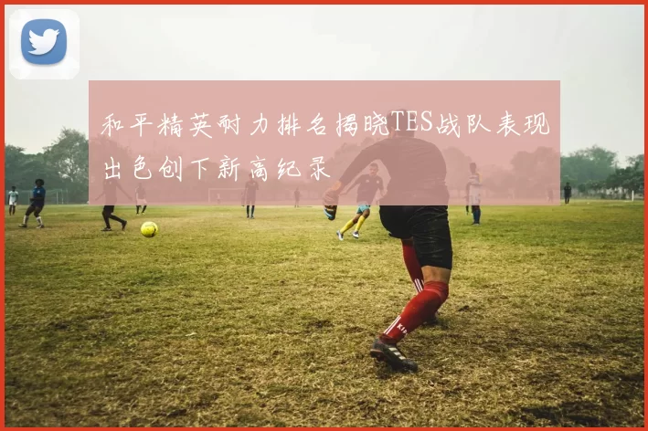 和平精英耐力排名揭晓TES战队表现出色创下新高纪录