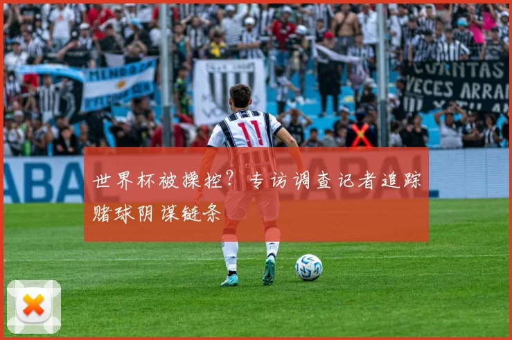 世界杯被操控？专访调查记者追踪赌球阴谋链条