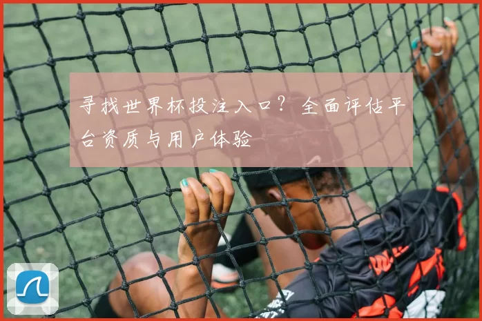 寻找世界杯投注入口？全面评估平台资质与用户体验