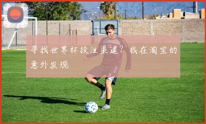 寻找世界杯投注渠道？我在淘宝的意外发现