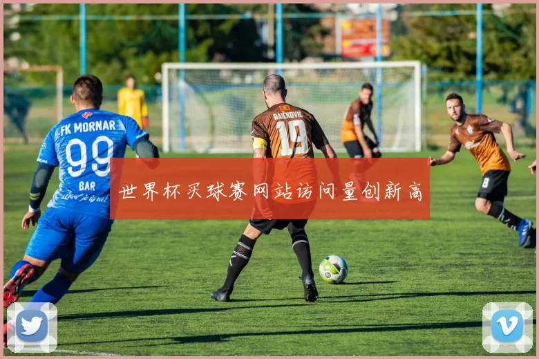 世界杯买球赛网站访问量创新高