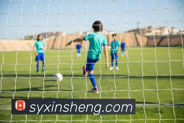 北京pk10APP 体育赛事宣传图